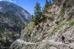 Tatto Village To Fairy Meadows Trek, Gilgit-Baltistan, Pakistan