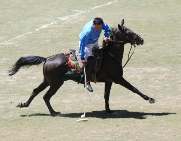 The King of Polo - Bulbul Jan