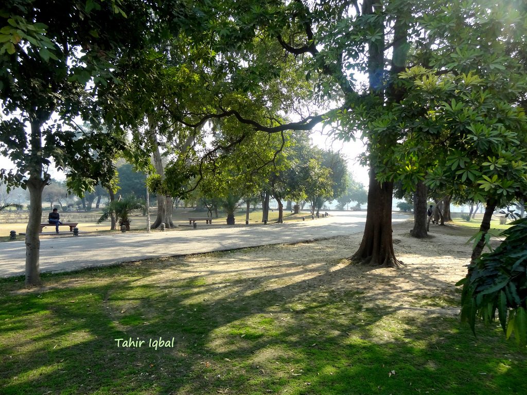 tracks of Bagh e Garden 