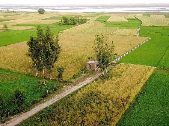  Simple and quiet life of a village 