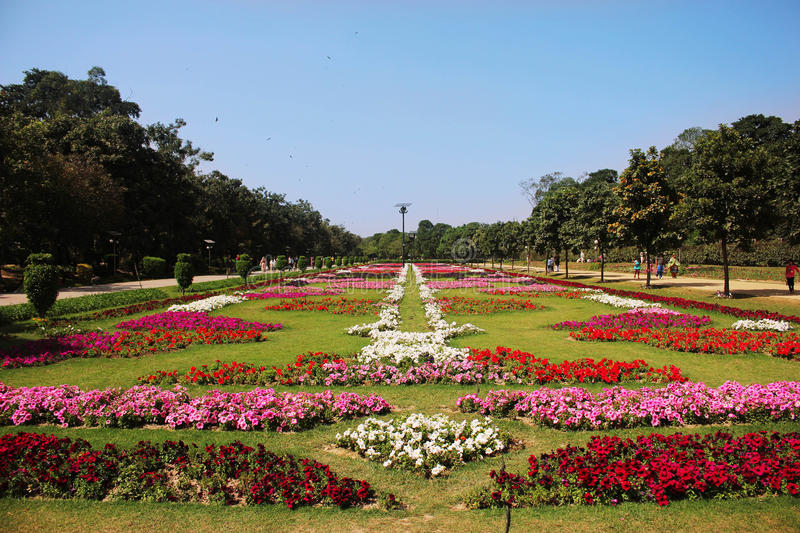 beautiful-flower-exhibition-race-course-park-beautiful-flower-exibition-lahore-race-course-park-beautiful-flower-exibition-lahore-race-course-park-beautiful-flower-exibition-lahore-race-course-park-lahore