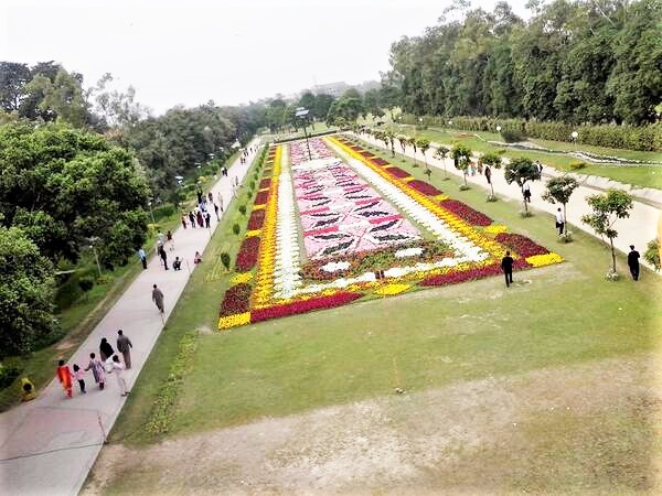 Flower beds in race course park 